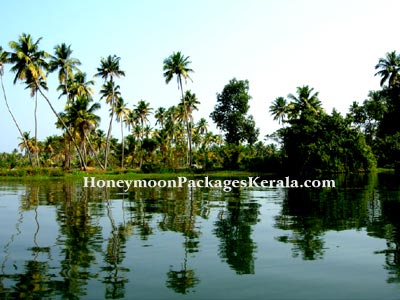 kumarakom backwaters kerala